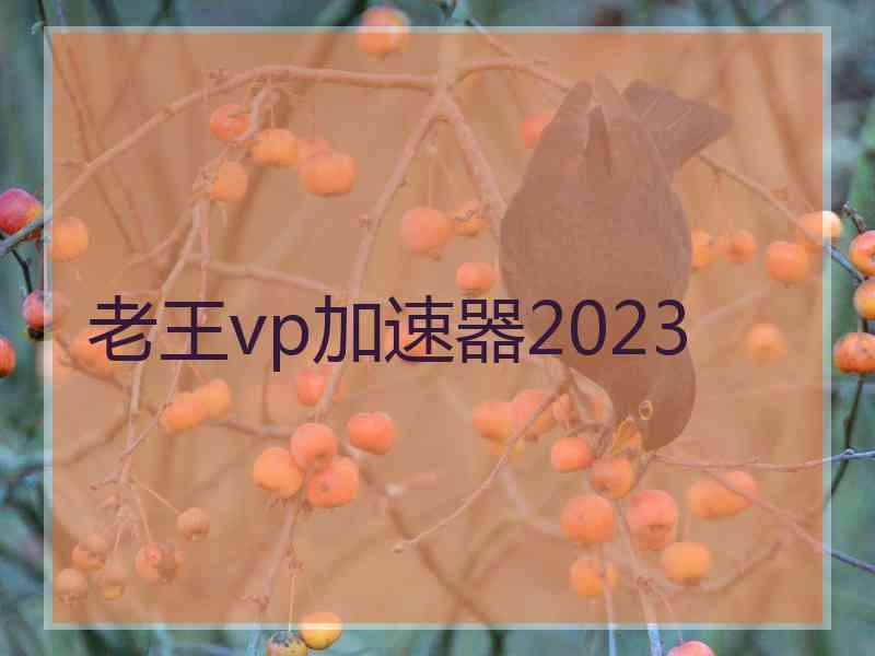 老王vp加速器2023
