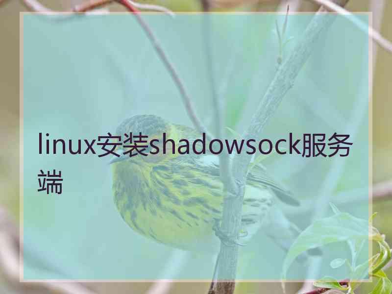 linux安装shadowsock服务端