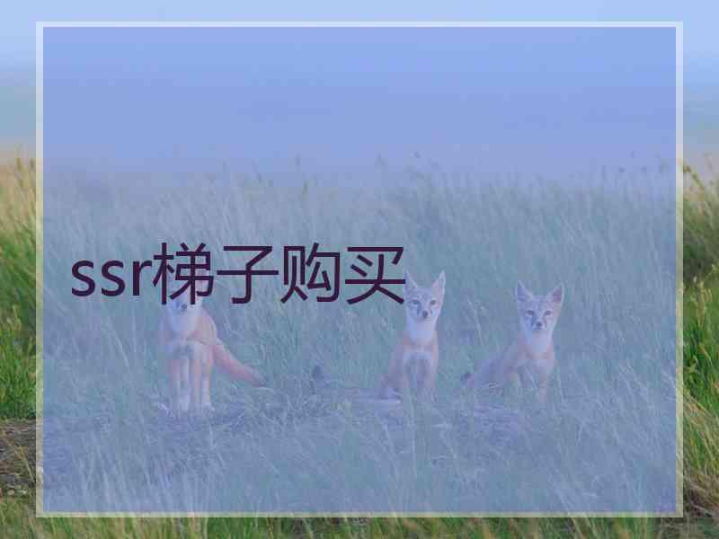ssr梯子购买