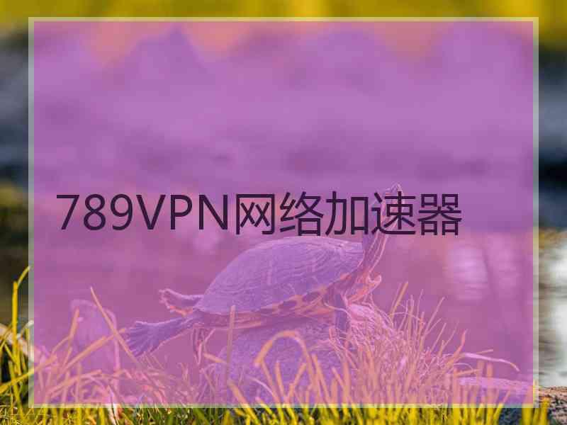 789VPN网络加速器