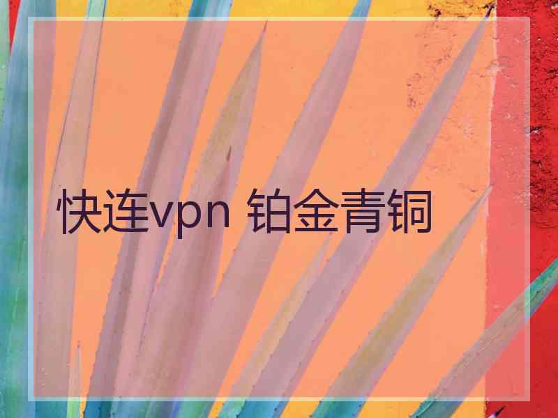 快连vpn 铂金青铜