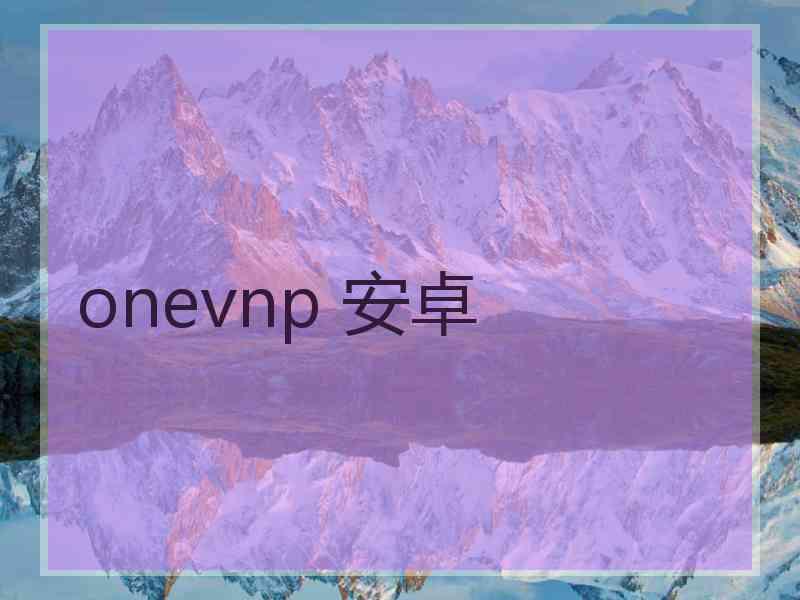 onevnp 安卓