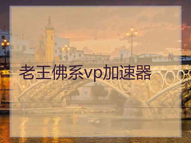 老王佛系vp加速器