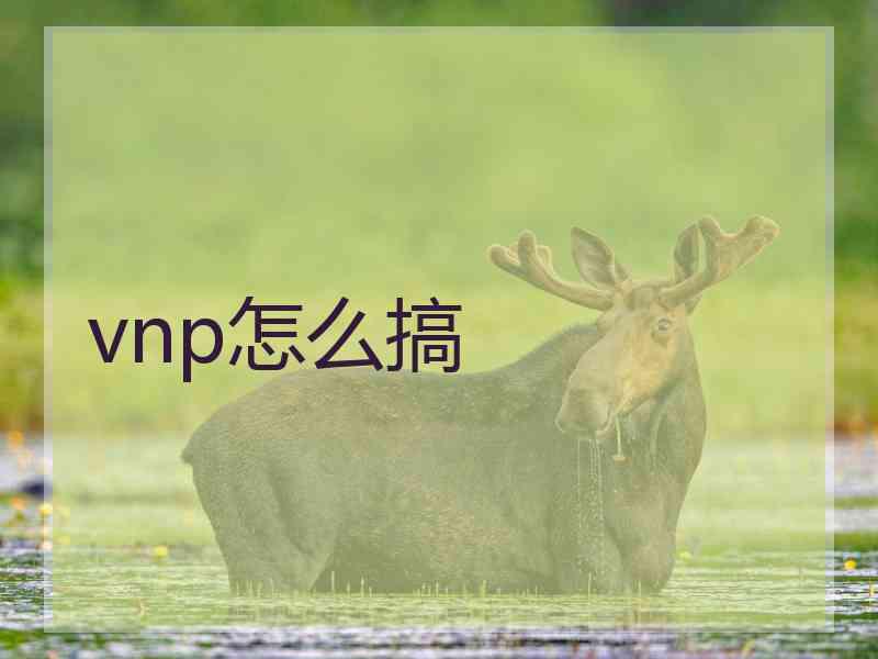 vnp怎么搞