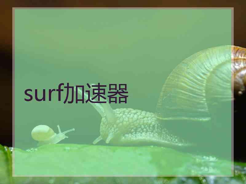 surf加速器