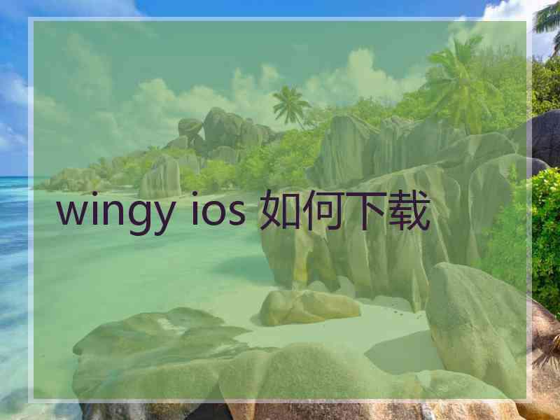 wingy ios 如何下载