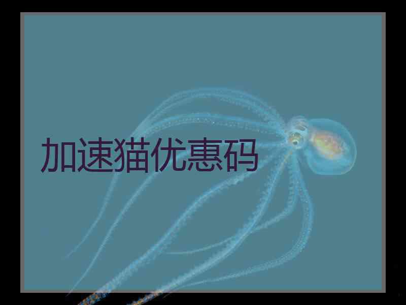 加速猫优惠码