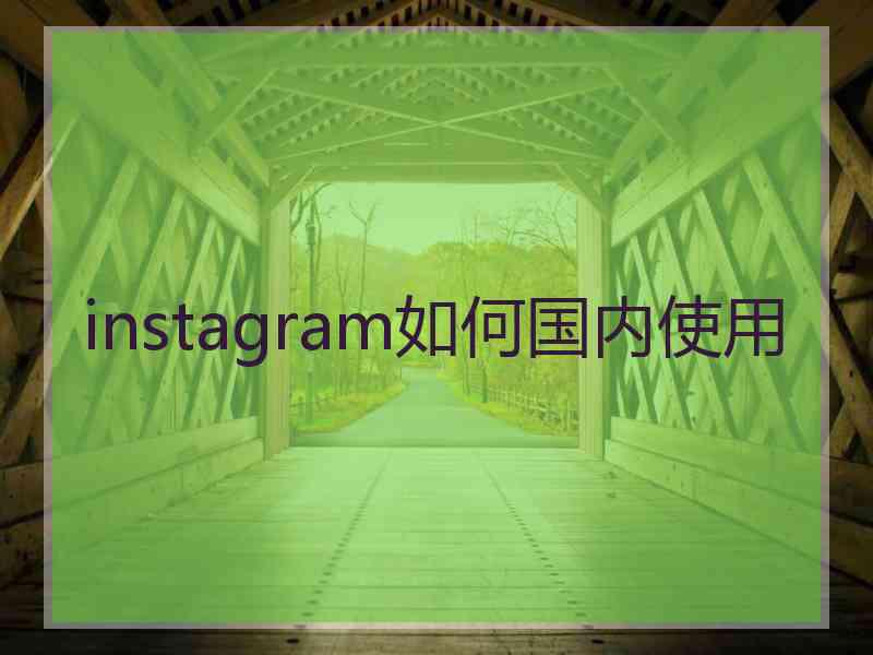 instagram如何国内使用