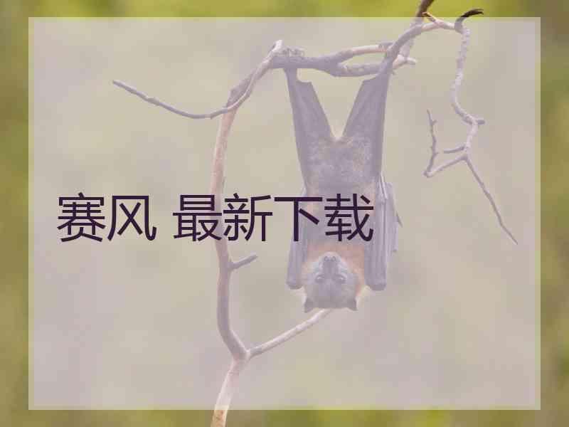 赛风 最新下载