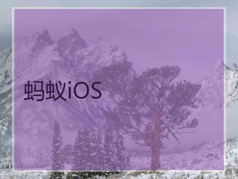 蚂蚁iOS