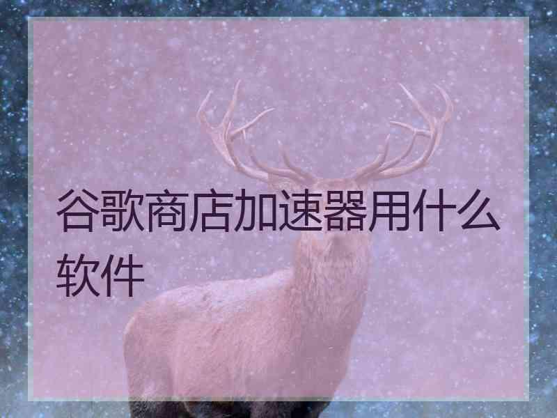 谷歌商店加速器用什么软件