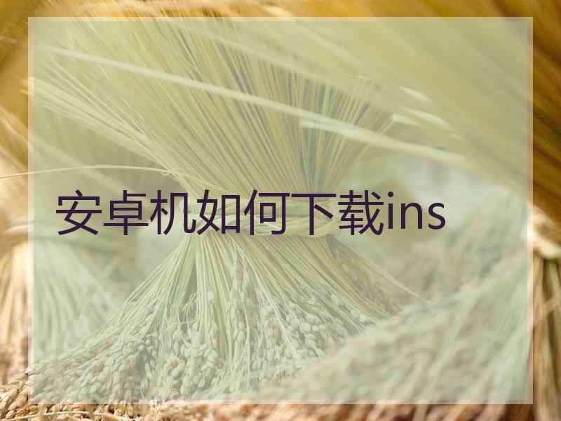 安卓机如何下载ins