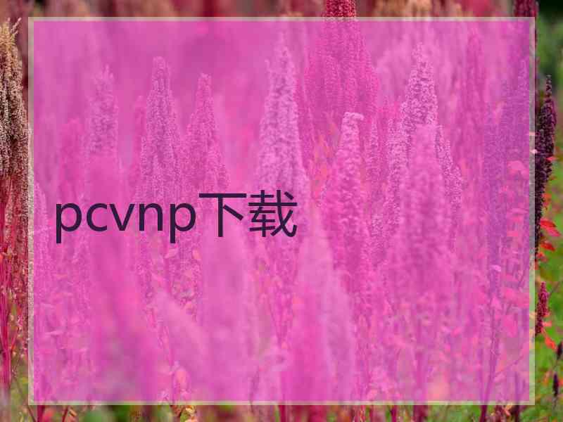pcvnp下载