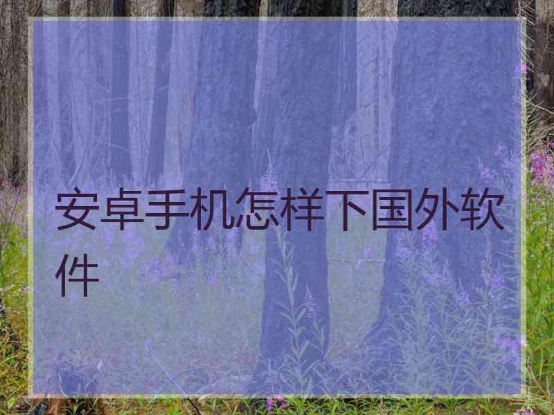 安卓手机怎样下国外软件