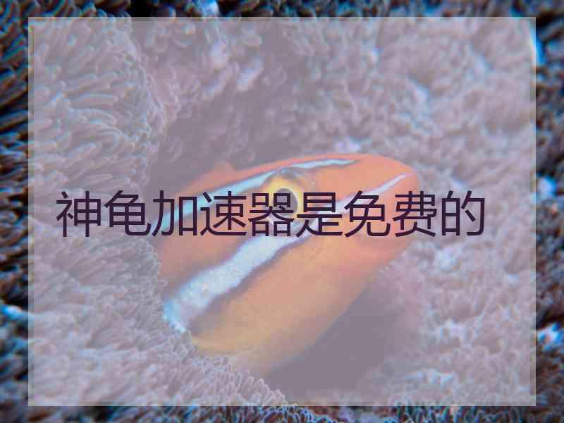 神龟加速器是免费的