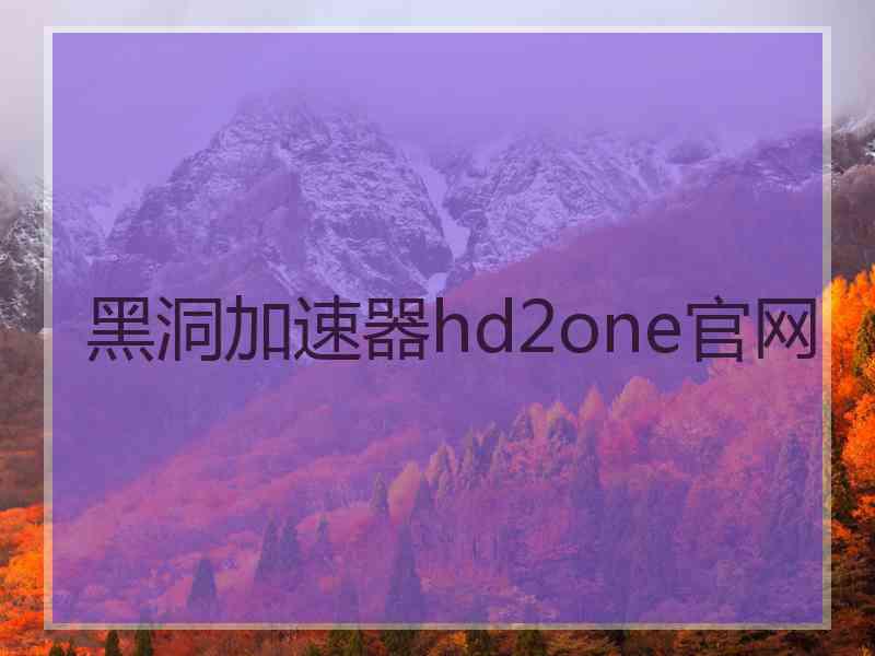 黑洞加速器hd2one官网