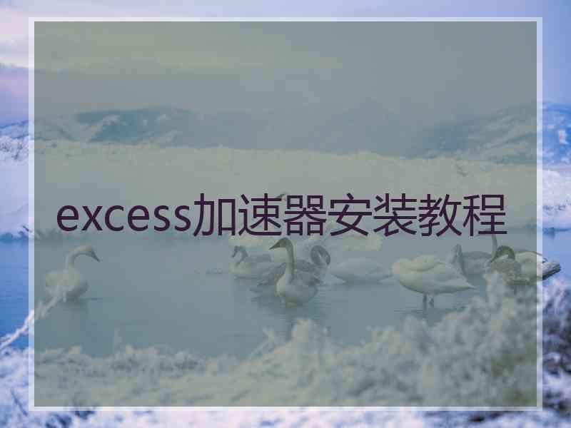 excess加速器安装教程