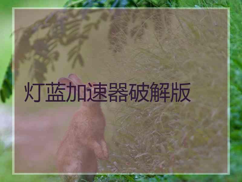 灯蓝加速器破解版