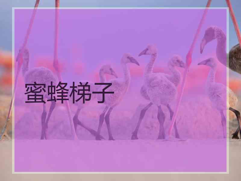 蜜蜂梯子