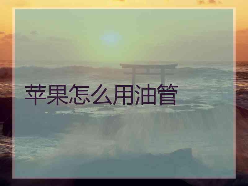 苹果怎么用油管