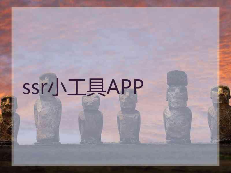 ssr小工具APP