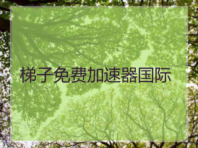 梯子免费加速器国际