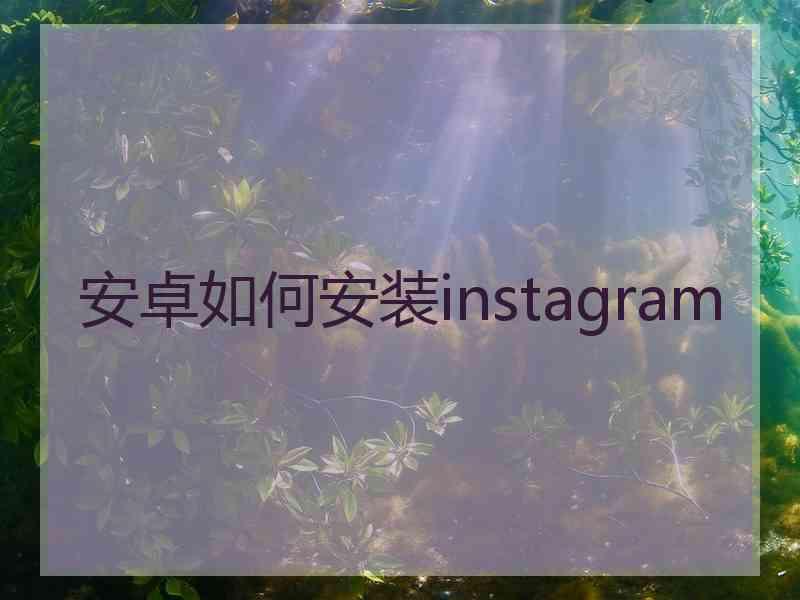 安卓如何安装instagram
