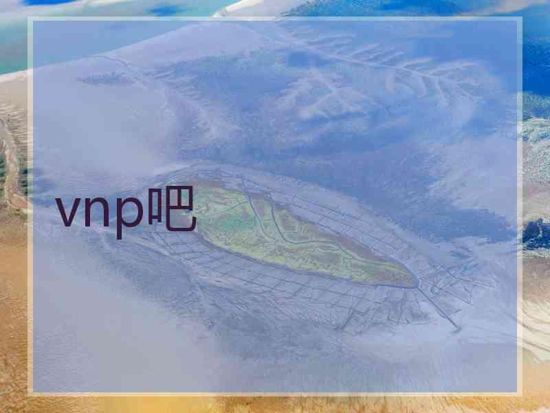 vnp吧
