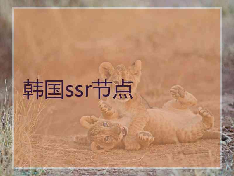韩国ssr节点