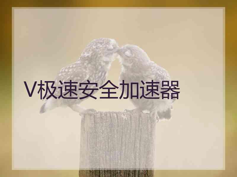 V极速安全加速器