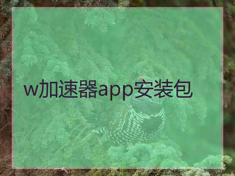 w加速器app安装包