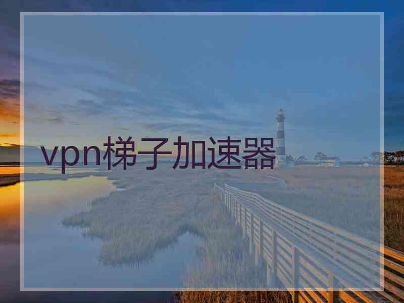 vpn梯子加速器