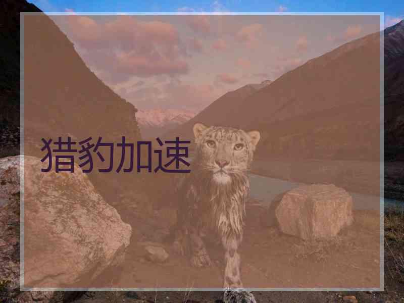 猎豹加速