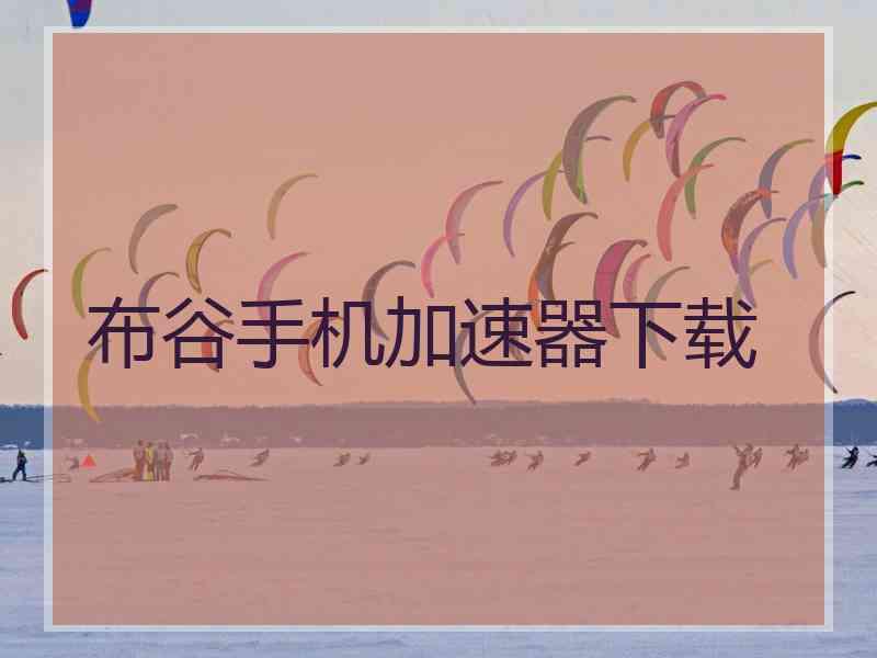 布谷手机加速器下载