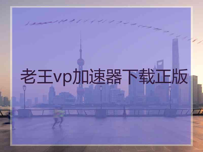 老王vp加速器下载正版