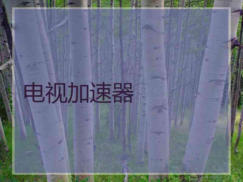 电视加速器