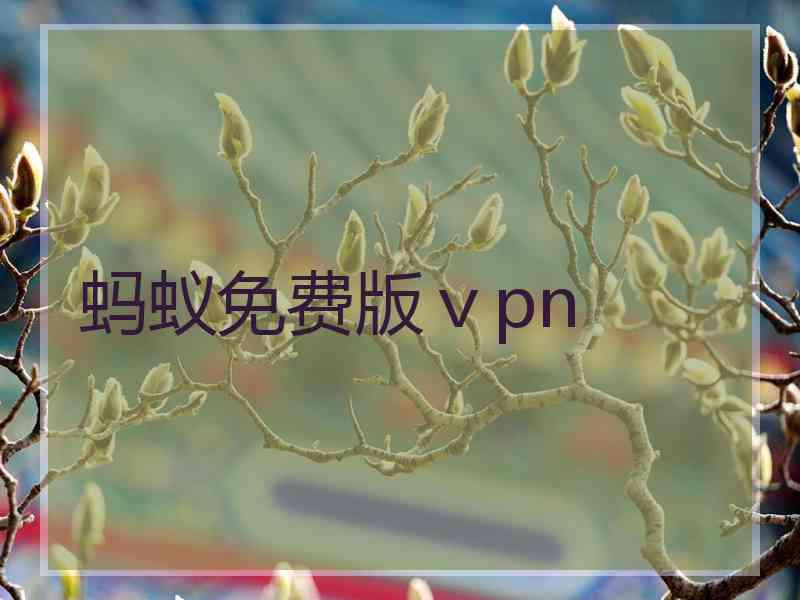 蚂蚁免费版ⅴpn