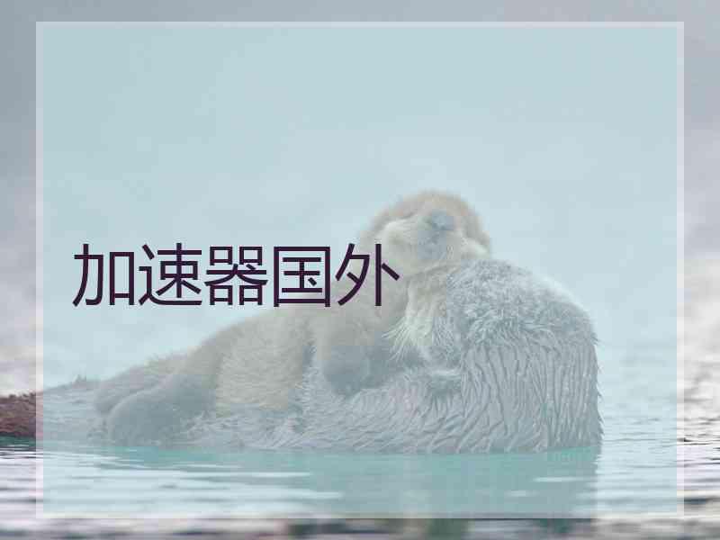 加速器国外