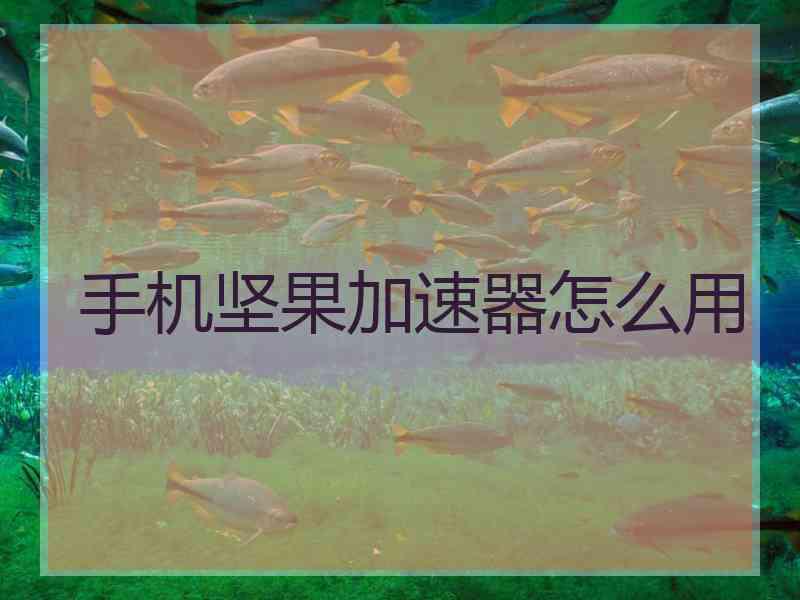 手机坚果加速器怎么用