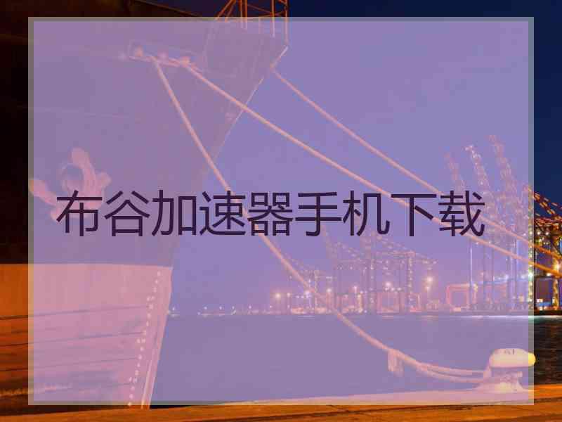 布谷加速器手机下载