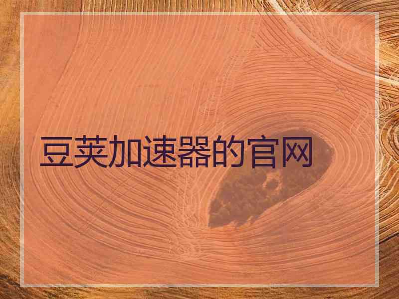 豆荚加速器的官网