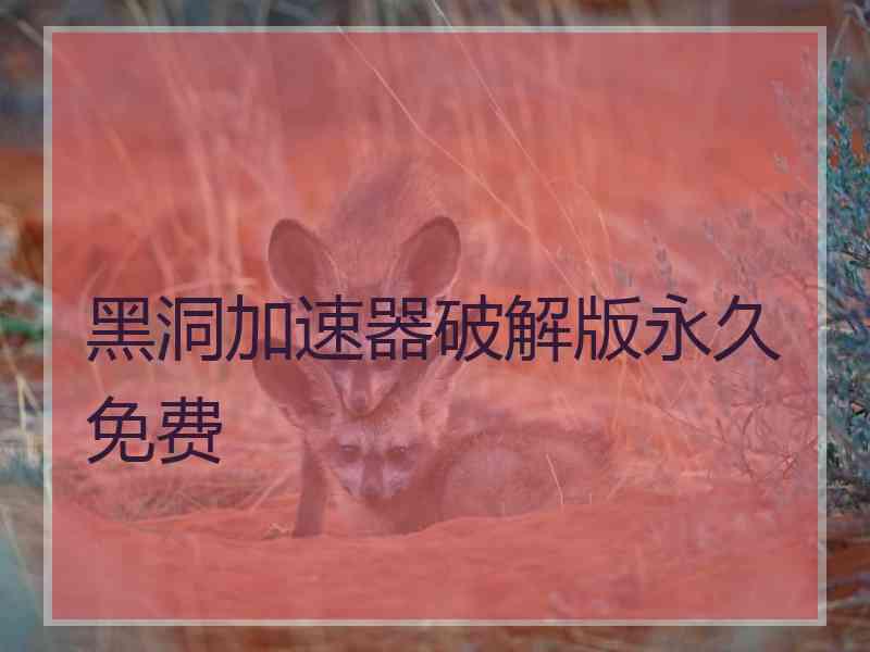 黑洞加速器破解版永久免费