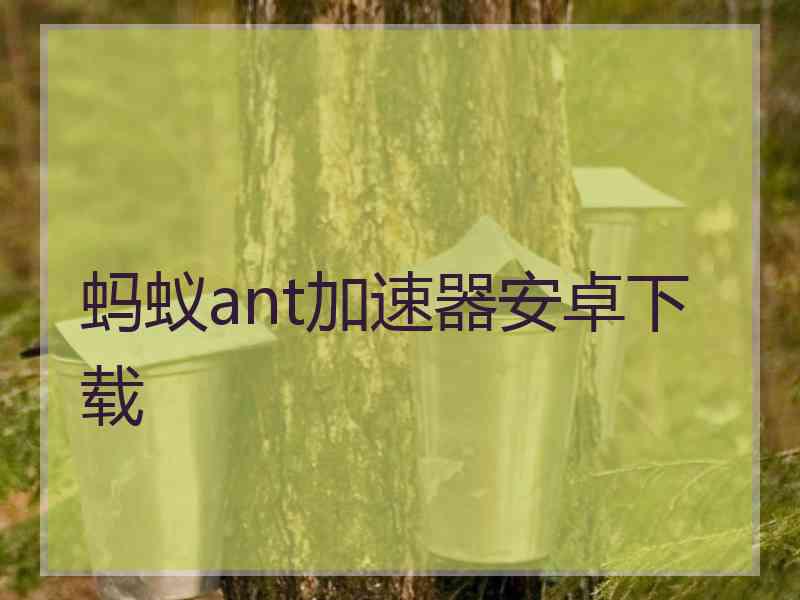 蚂蚁ant加速器安卓下载