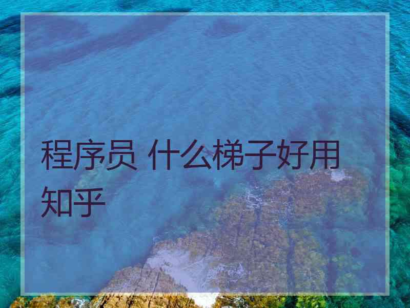 程序员 什么梯子好用 知乎