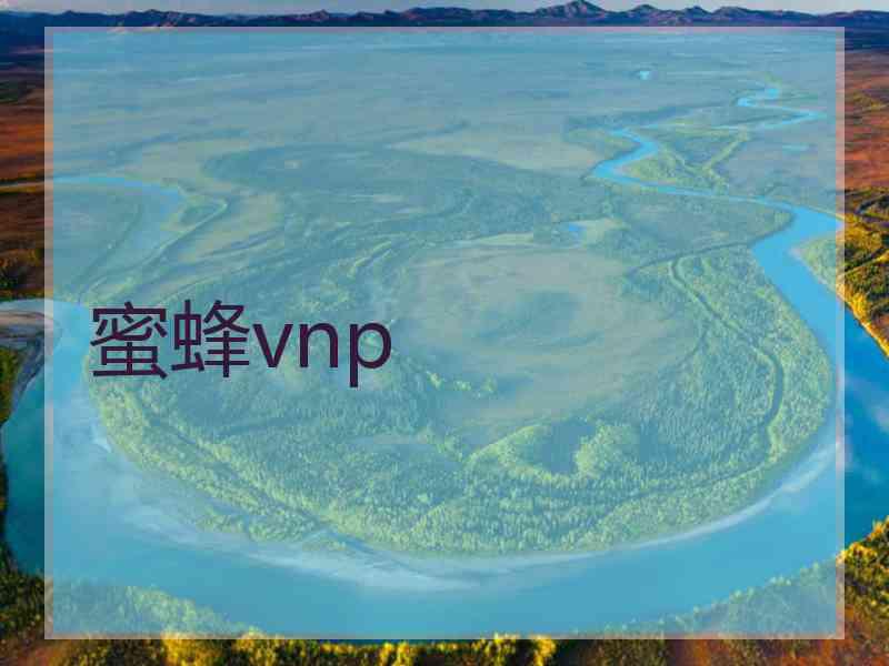 蜜蜂vnp