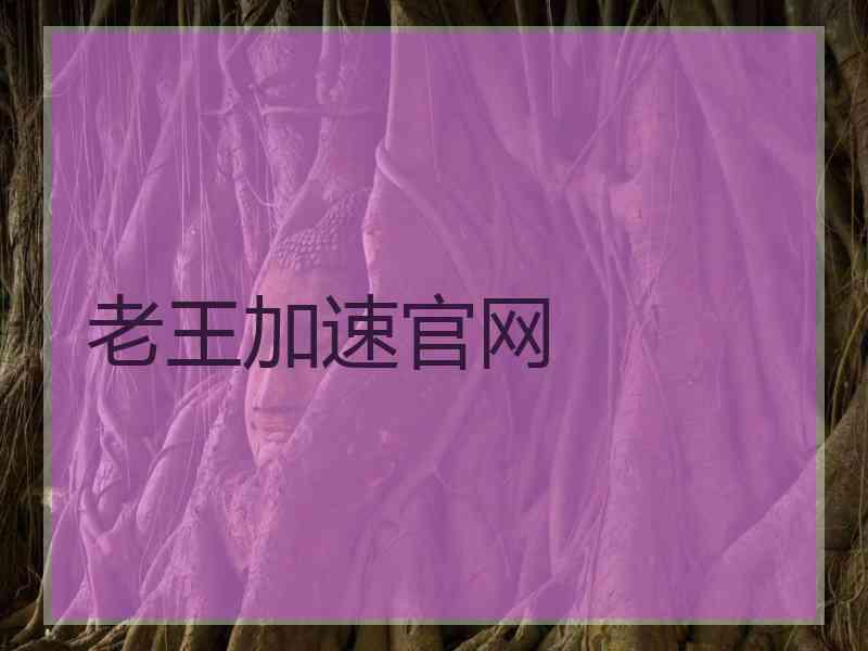 老王加速官网