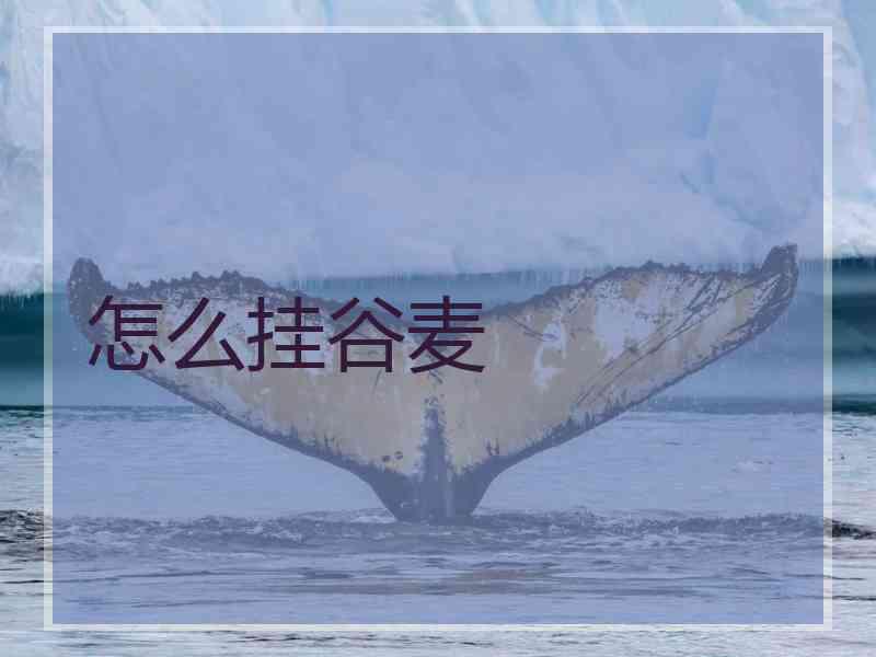 怎么挂谷麦