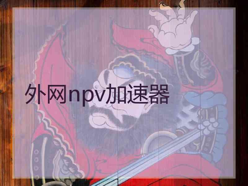 外网npv加速器