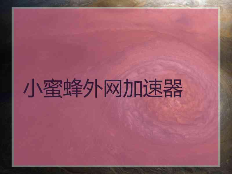 小蜜蜂外网加速器