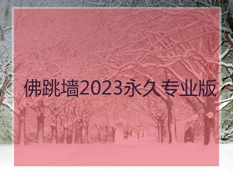 佛跳墙2023永久专业版
